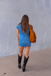 Denim Short Sleeve Top and Mini Skirt Set