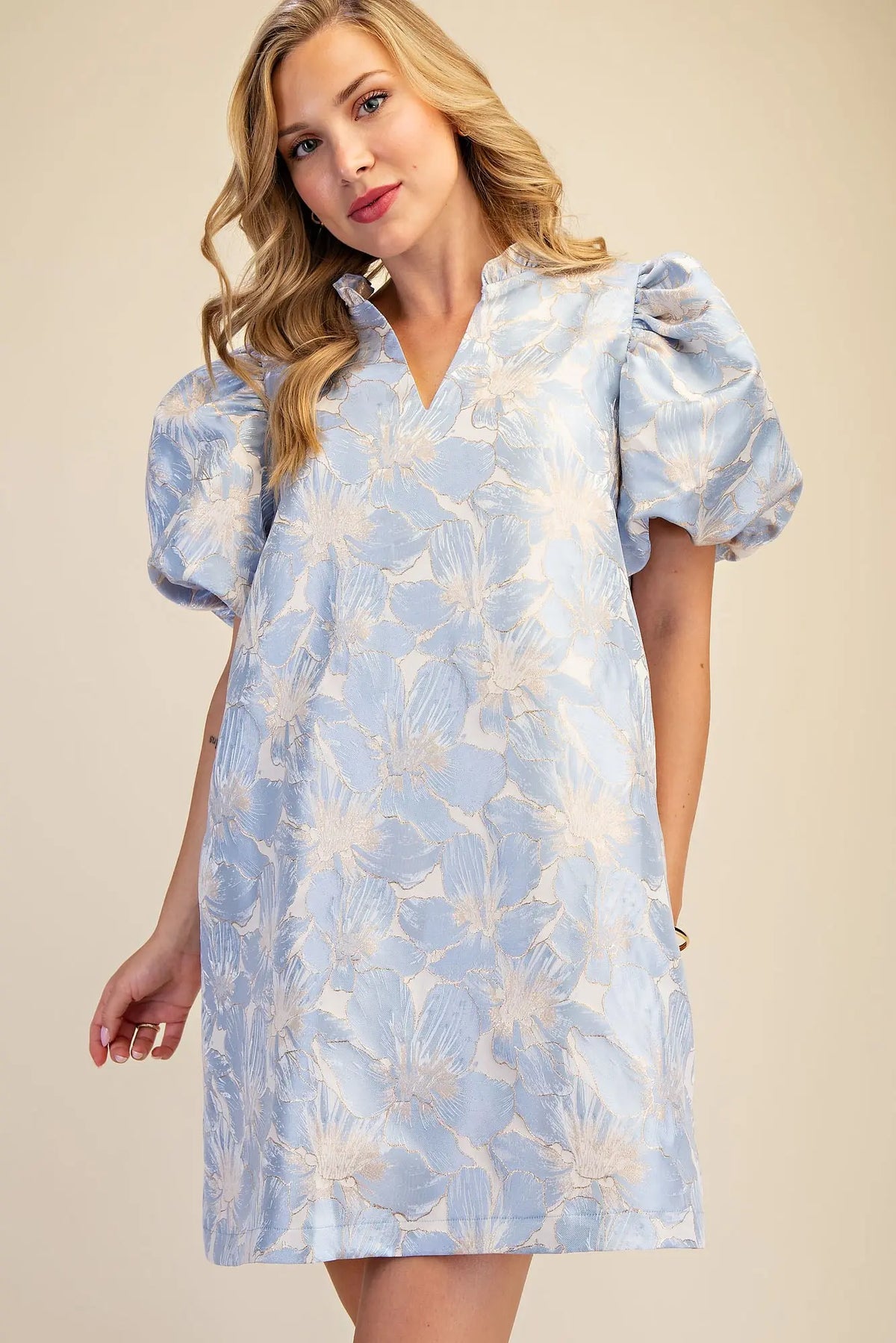 Powder Blue Floral Ruffle V-Neck Mini Dress