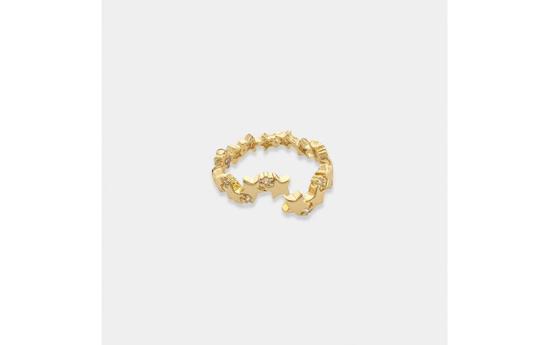 Gold Adjustable Rings