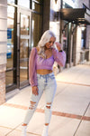 Purple Mesh Dot Long Sleeve Crop Top - Shop Kendry Collection Boutique